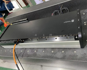 Magnetic-track-free Linear Motor Module for Packing Machine