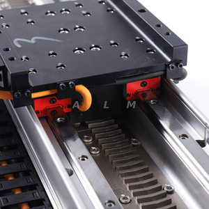 Unique Non-magnetic Track Linear Motor for LCD Panel Production Equipment