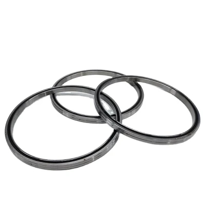 RB 2008 2508 3010 3510 Cross Roller Bearing